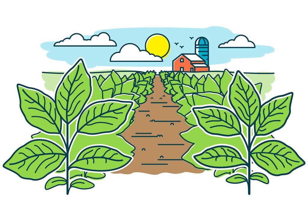 Simple Set Of Farming And Agriculture Related Vector Line Icons Stock  Illustration - Download Image Now - iStock